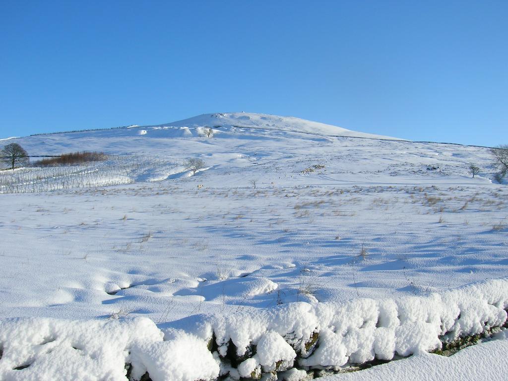 Sorbietrees B&B Newcastleton Luaran gambar